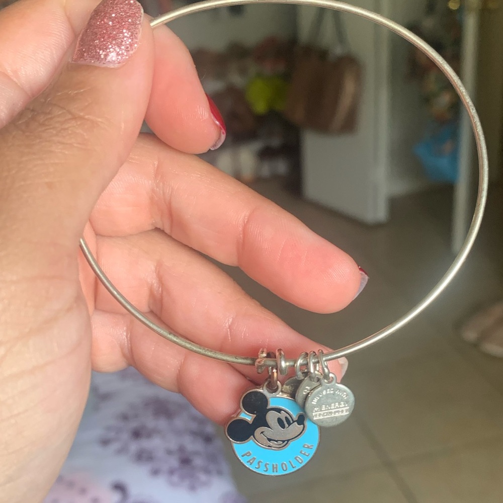 Disney Passholder Alex & Ani